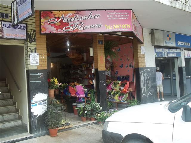 FLORES E PLANTAS ORNAMENTAIS NA ILHA DO GOVERNADOR - NATASHA FLORES - RJ