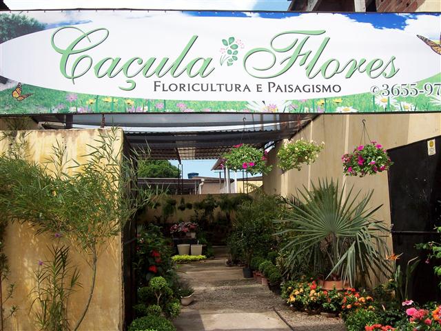 Caçula Flores