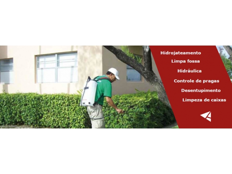 Desentupidora e Dedetizadora no Morumbi - SP