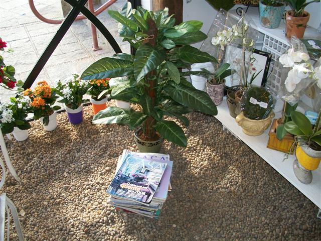 DECORAÇÃO EM MIGUEL PEREIRA - CENARIO - RJ