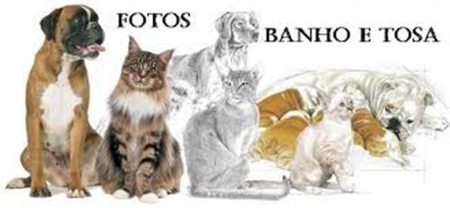 BANHO E TOSA EM SAO GONCALO