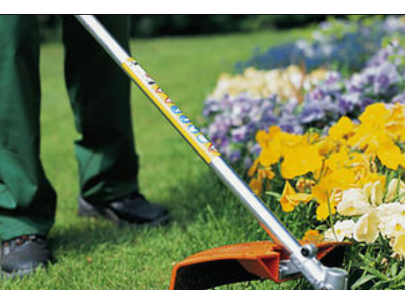 PODA DE ARVORES EM  PACAEMBU - SP
