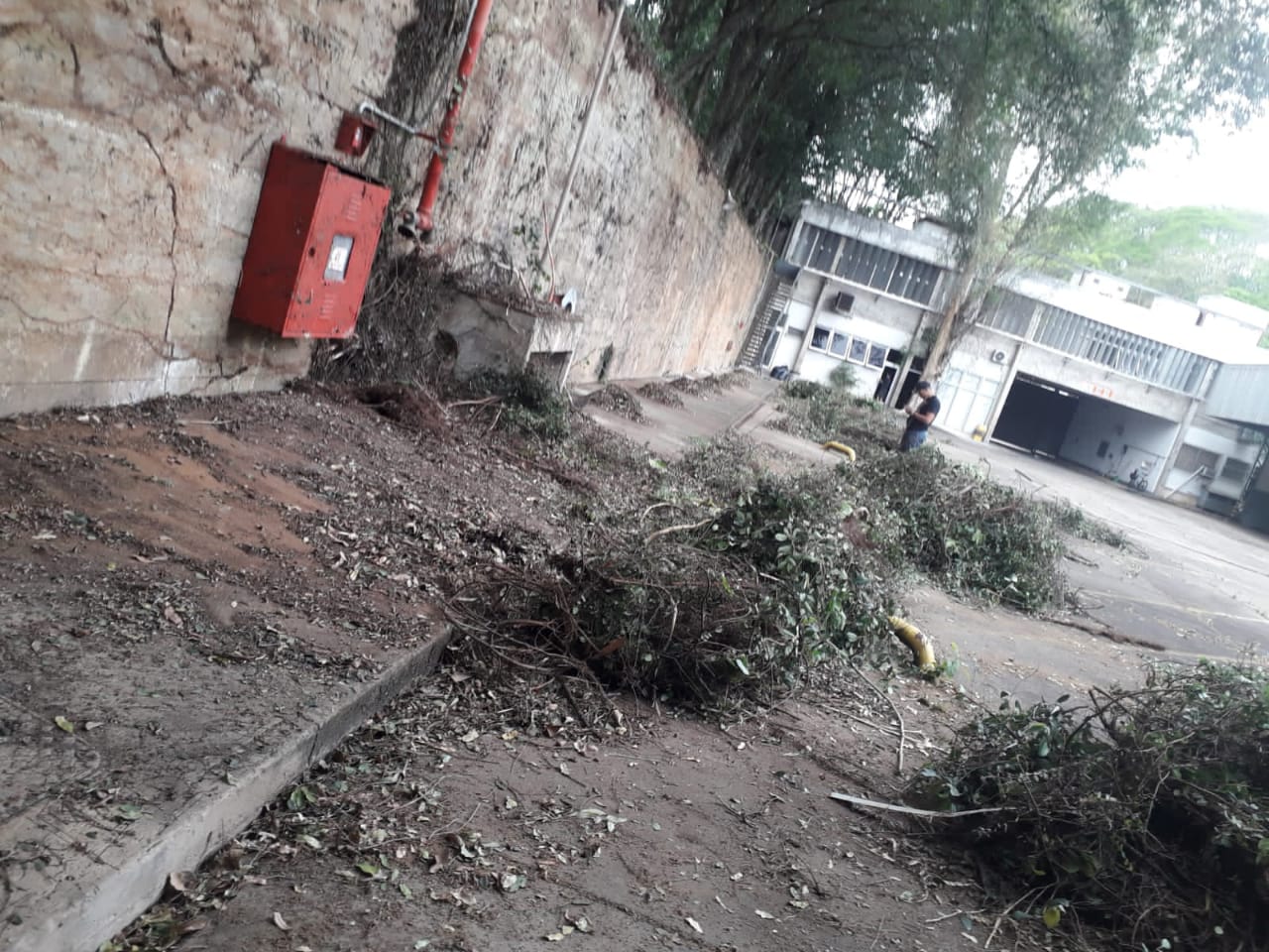 DESCUPINIZAÇÃO EM CACHOEIRO DE ITAPEMIRIM-ES