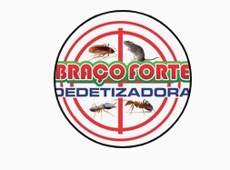 DEDETIZADORA BRAÇO FORTE