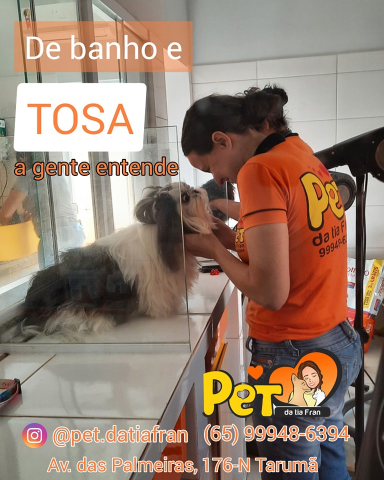 BANHO E TOSA EM TANGARÁ DA SERRA - MT