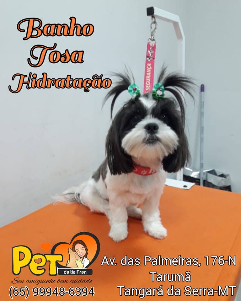 BANHO E TOSA EM TANGARÁ DA SERRA - MT