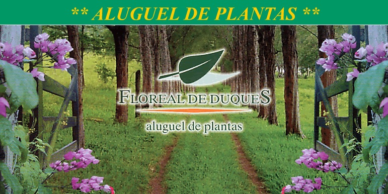 ALUGUEL DE PLANTAS EM ITABORAÍ - 2617-0082 - RJ
