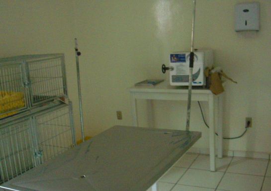 CLINICA VETERINÁRIA PET SHOP EM CASCAVEL - BICHO ANIMADO - PR