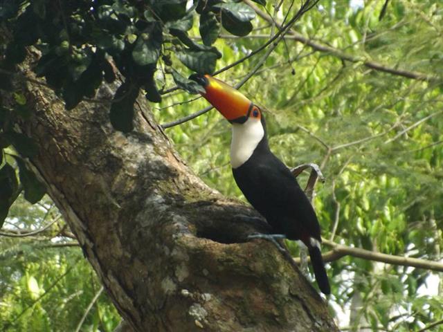 CONSULTORA DE BELEZA EM PETROPOLIS RJ