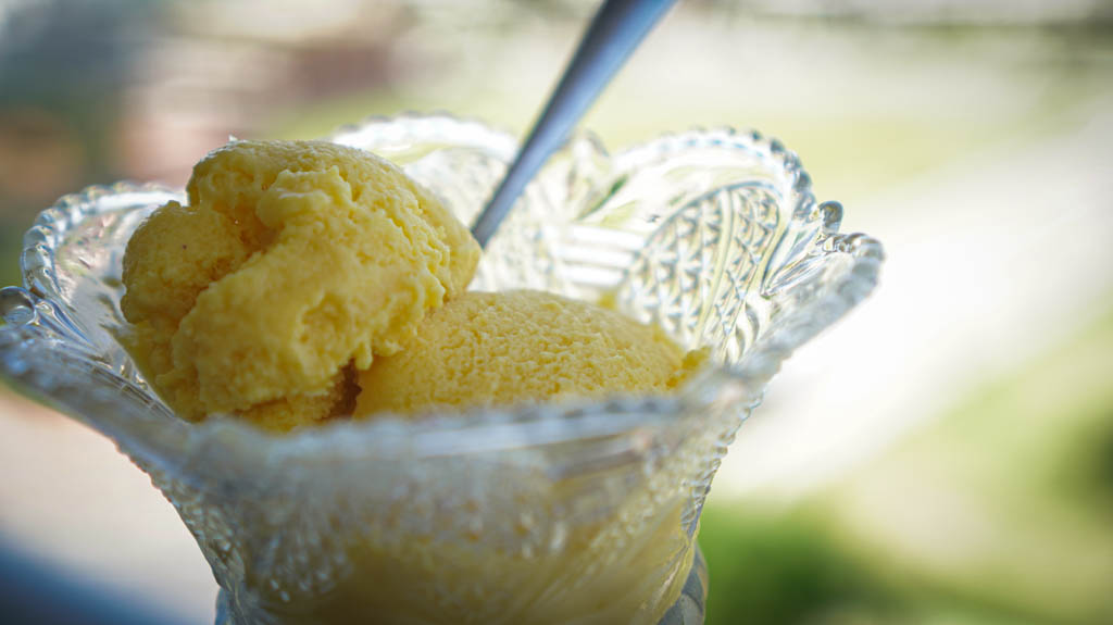 COMIDA CONGELADA DETOX NA BARRA DA TIJUCA RJ