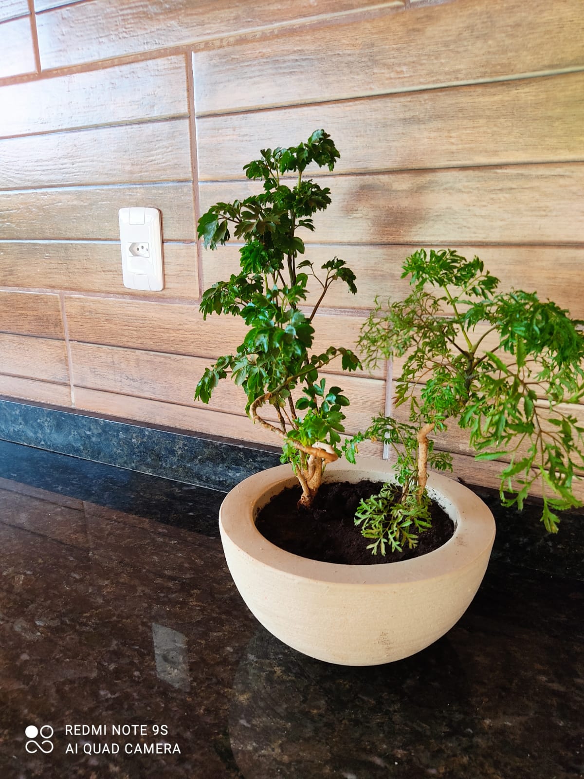 ALUGUEL DE SITIO EM REVES DO BELÉM - MG