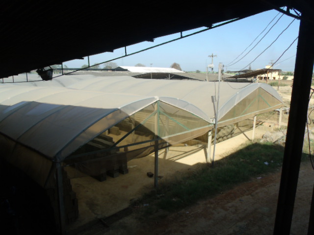 CERAMICA EM CAMPOS DOS GOYTACAZES 