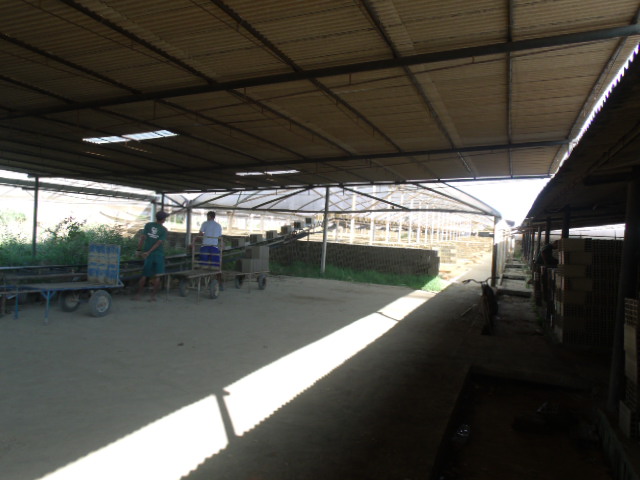 CERAMICA EM CAMPOS DOS GOYTACAZES 