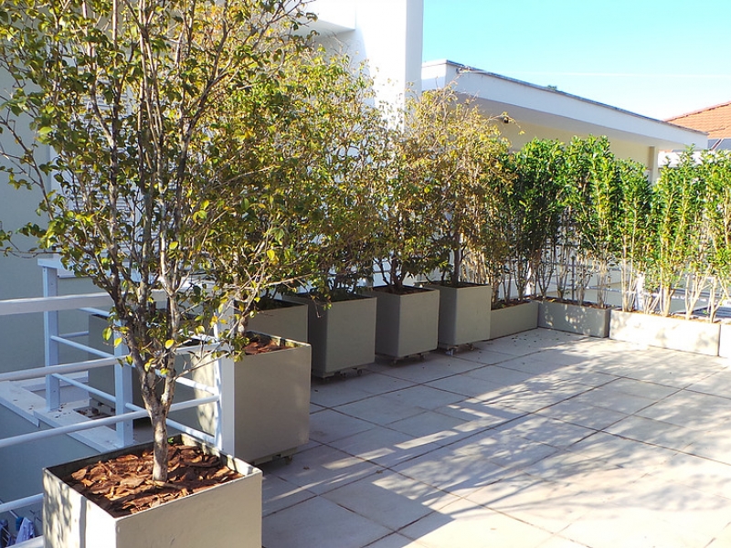 PAISAGISTA RESIDENCIAL NO JARDINS - SP