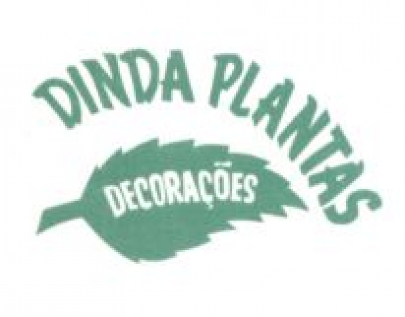 Dinda Plantas Decorações