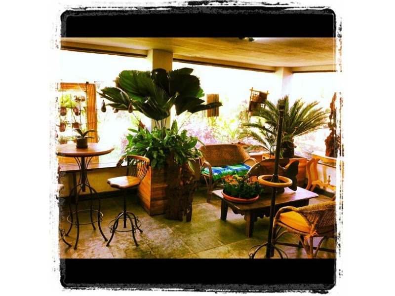 PLANTAS ORNAMENTAIS NA BARRA DA TIJUCA