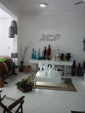 PLANTAS ORNAMENTAIS HORTO DECORACAO EM CAMPOS DOS GOYTACAZES