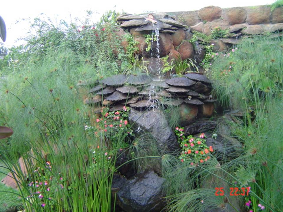 PLANTAS ORNAMENTAIS HORTO DECORACAO EM CAMPOS DOS GOYTACAZES