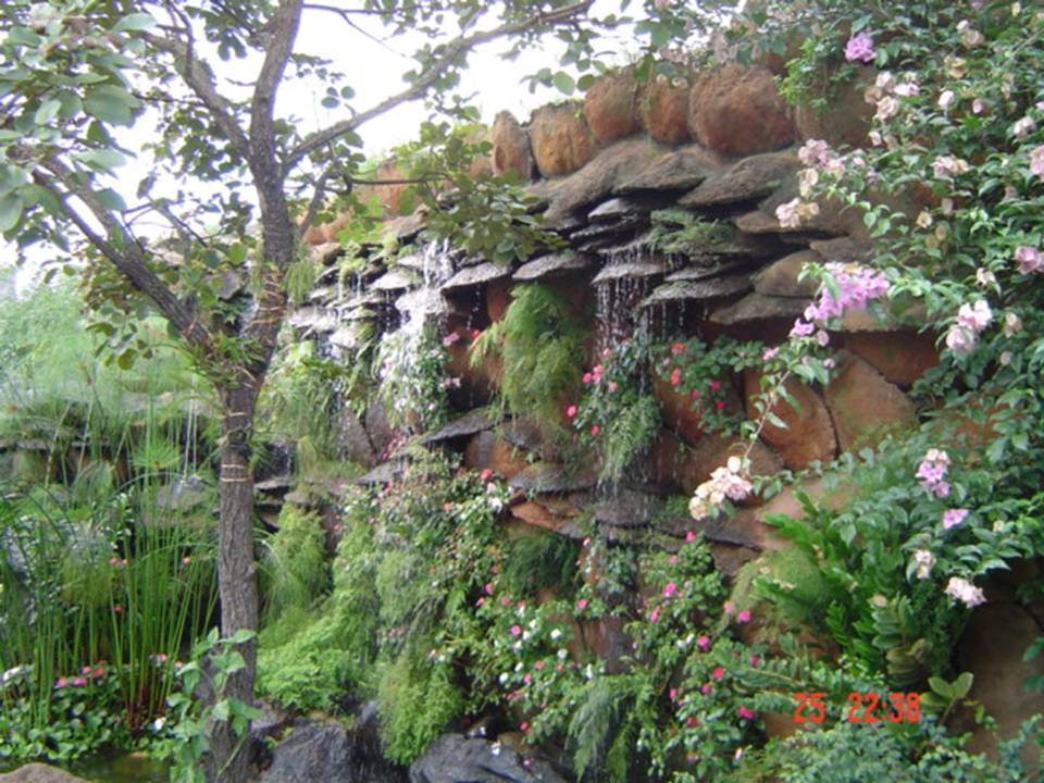 PLANTAS ORNAMENTAIS HORTO DECORACAO EM CAMPOS DOS GOYTACAZES