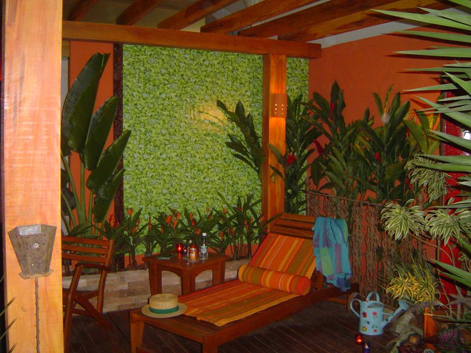 PLANTAS ORNAMENTAIS HORTO DECORACAO EM CAMPOS DOS GOYTACAZES