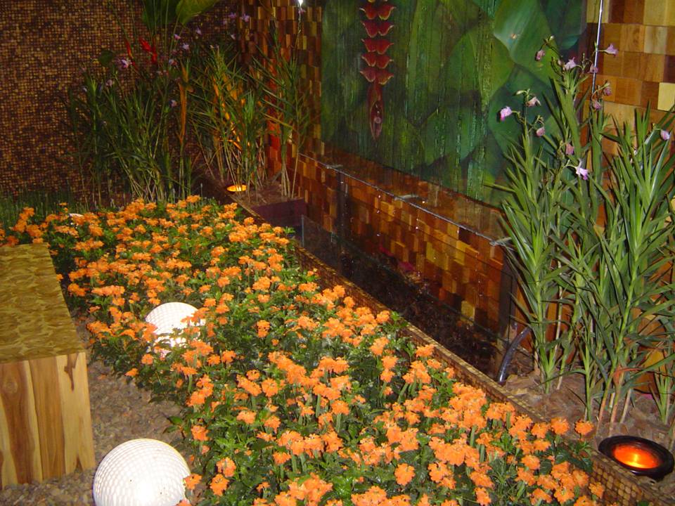 PLANTAS ORNAMENTAIS HORTO DECORACAO EM CAMPOS DOS GOYTACAZES