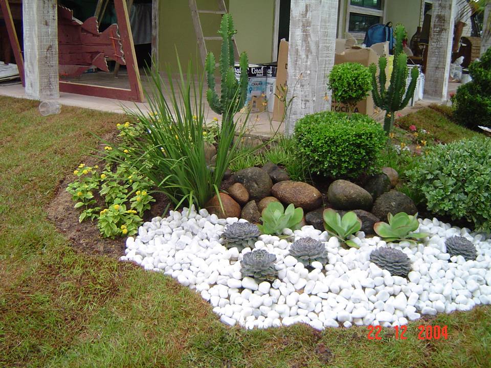 PLANTAS ORNAMENTAIS HORTO DECORACAO EM CAMPOS DOS GOYTACAZES