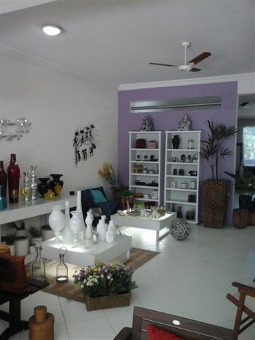 PLANTAS ORNAMENTAIS HORTO DECORACAO EM CAMPOS DOS GOYTACAZES