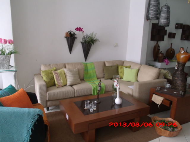 PLANTAS ORNAMENTAIS HORTO DECORACAO EM CAMPOS DOS GOYTACAZES