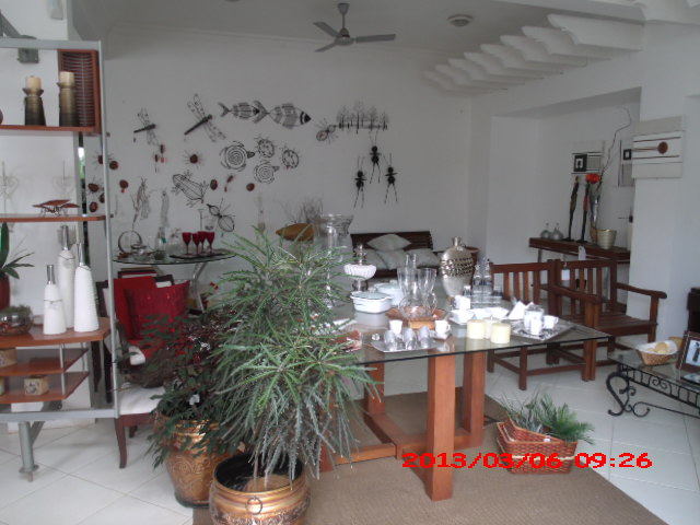 PLANTAS ORNAMENTAIS HORTO DECORACAO EM CAMPOS DOS GOYTACAZES