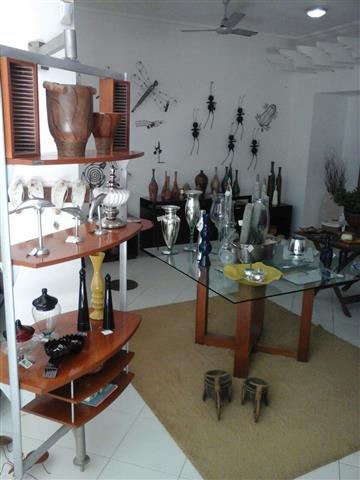 PLANTAS ORNAMENTAIS HORTO DECORACAO EM CAMPOS DOS GOYTACAZES