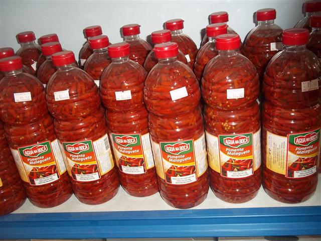 DESCARTAVEIS EM RIO BONITO - MOTTA - RJ