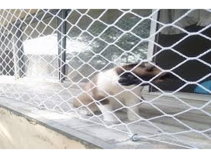 REDE DE PROTEÇÃO EM GERAL NA VILA MARIANA EM SÃO PAULO