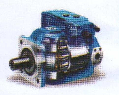 BYSAM DO BRASIL EM CAMPOS DOS GOYTACAZES