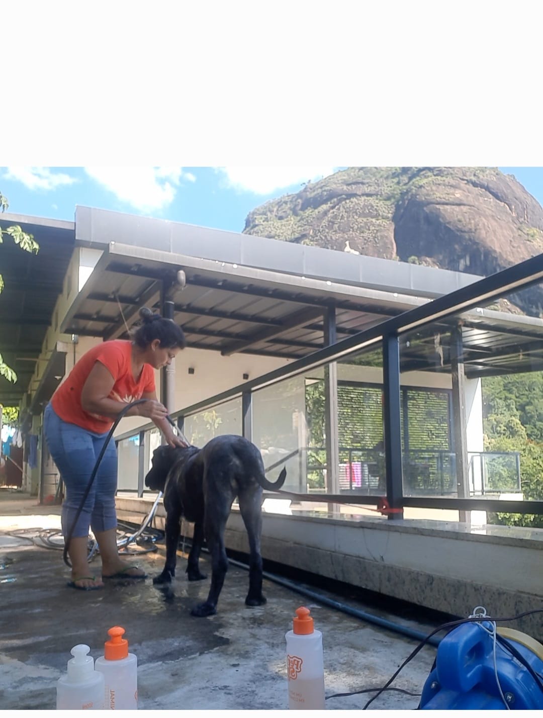 HOSPEDAGEM PARA PET EM CACHOEIRO DE ITAPEMIRIM-ES