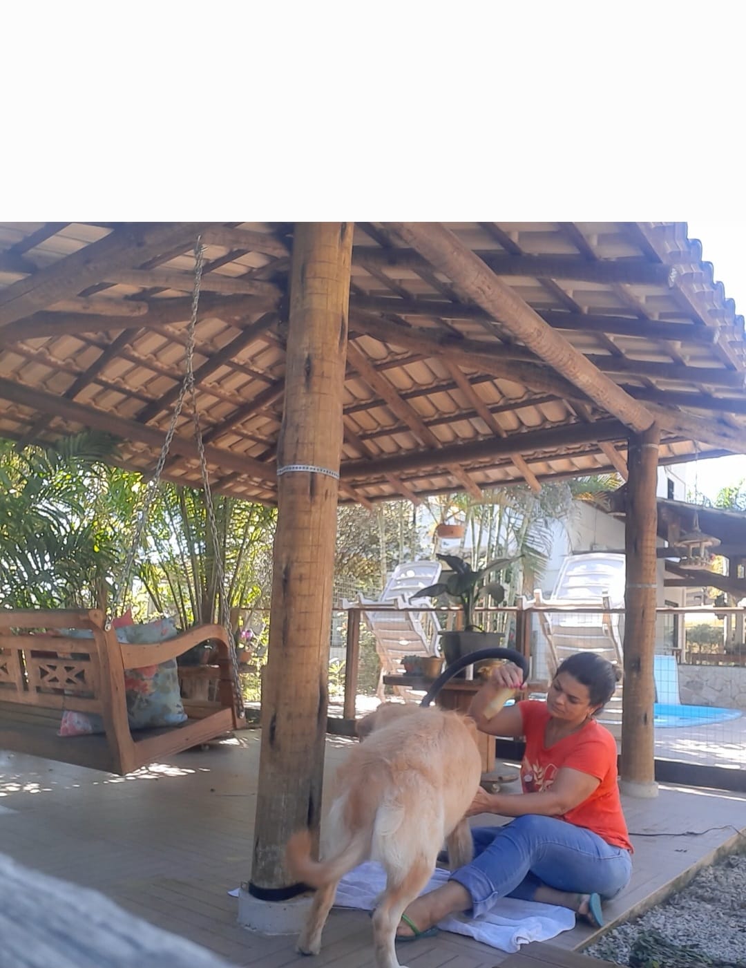 HOSPEDAGEM PARA PET EM CACHOEIRO DE ITAPEMIRIM-ES