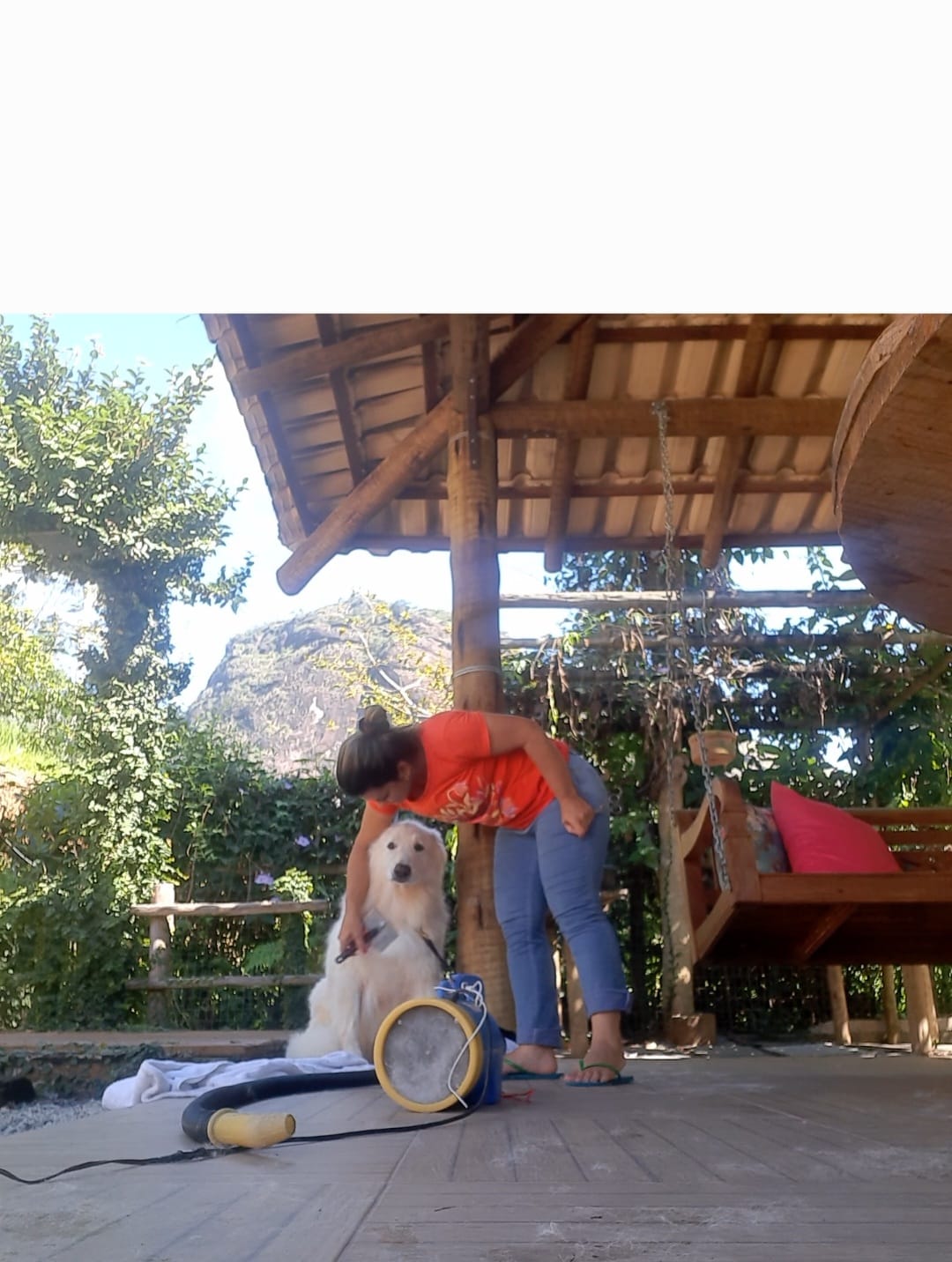 HOSPEDAGEM PARA PET EM CACHOEIRO DE ITAPEMIRIM-ES