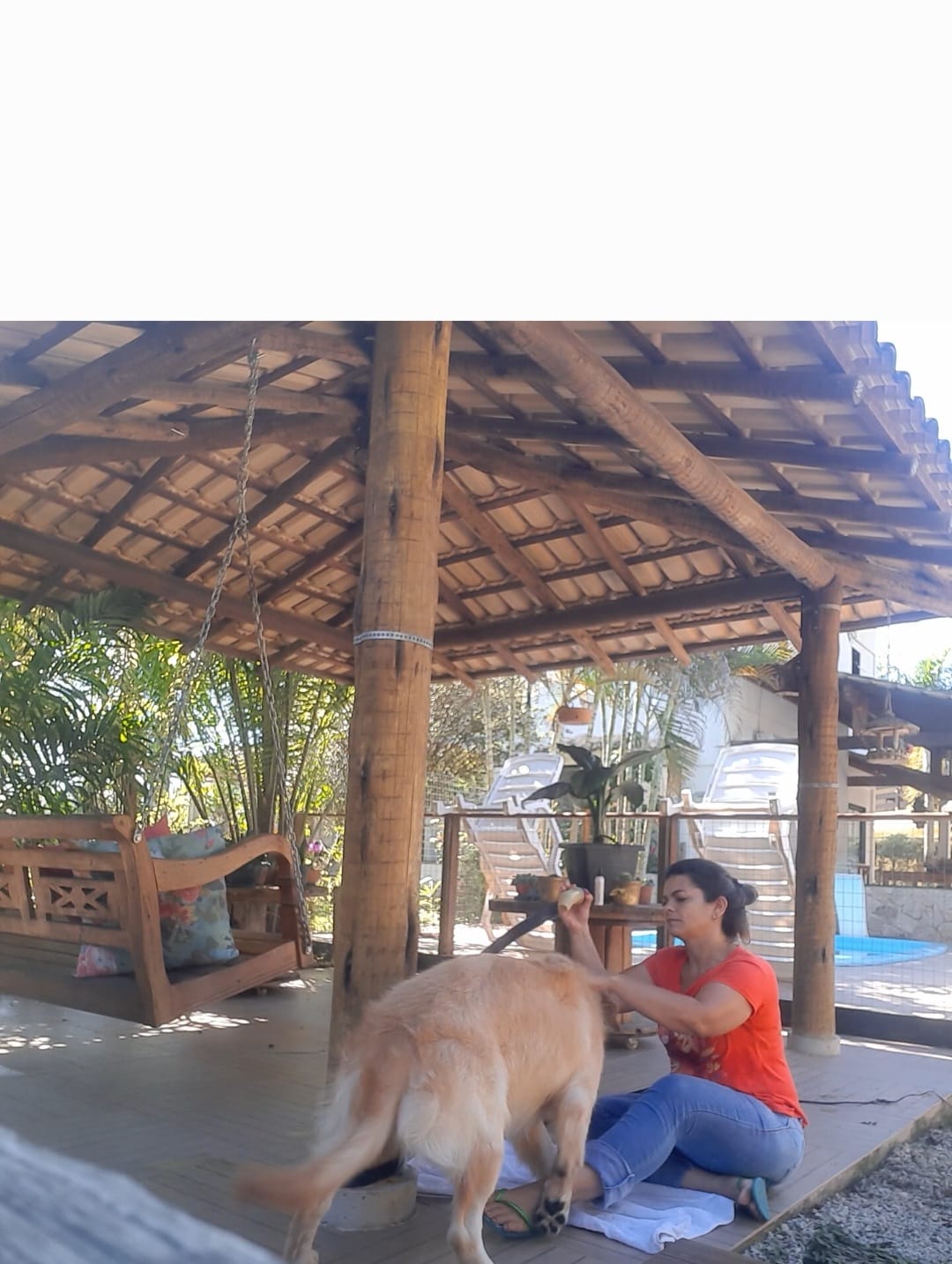 HOSPEDAGEM PARA PET EM CACHOEIRO DE ITAPEMIRIM-ES