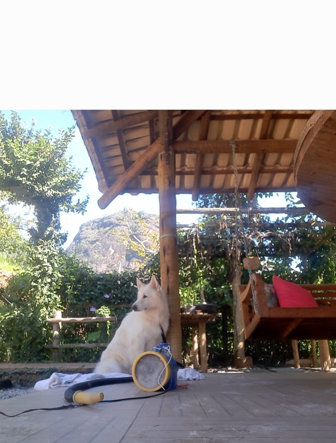 HOSPEDAGEM PARA PET EM CACHOEIRO DE ITAPEMIRIM-ES