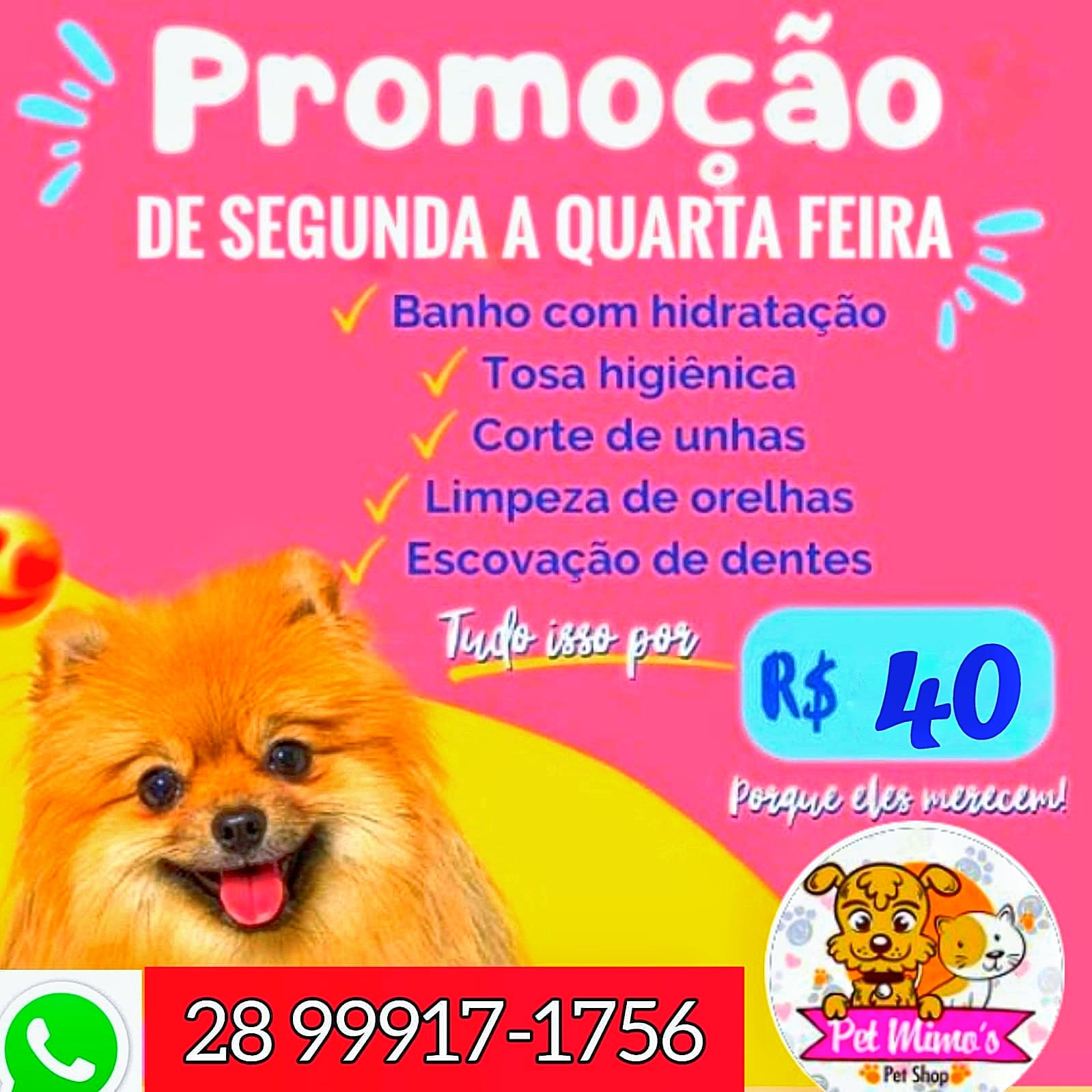 HOSPEDAGEM PARA PET EM CACHOEIRO DE ITAPEMIRIM-ES