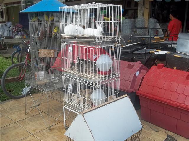 CASA DE RACOES E PRODUTOS VETERINARIOS EM XEREM DUQUE DE CAXIAS - PAMOWA - RJ