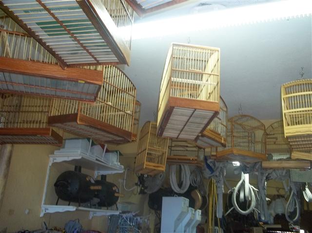 CASA DE RACOES E PRODUTOS VETERINARIOS EM XEREM DUQUE DE CAXIAS - PAMOWA - RJ