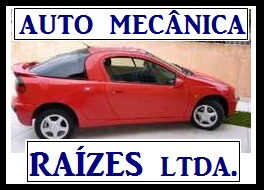 Mecanica Raizes