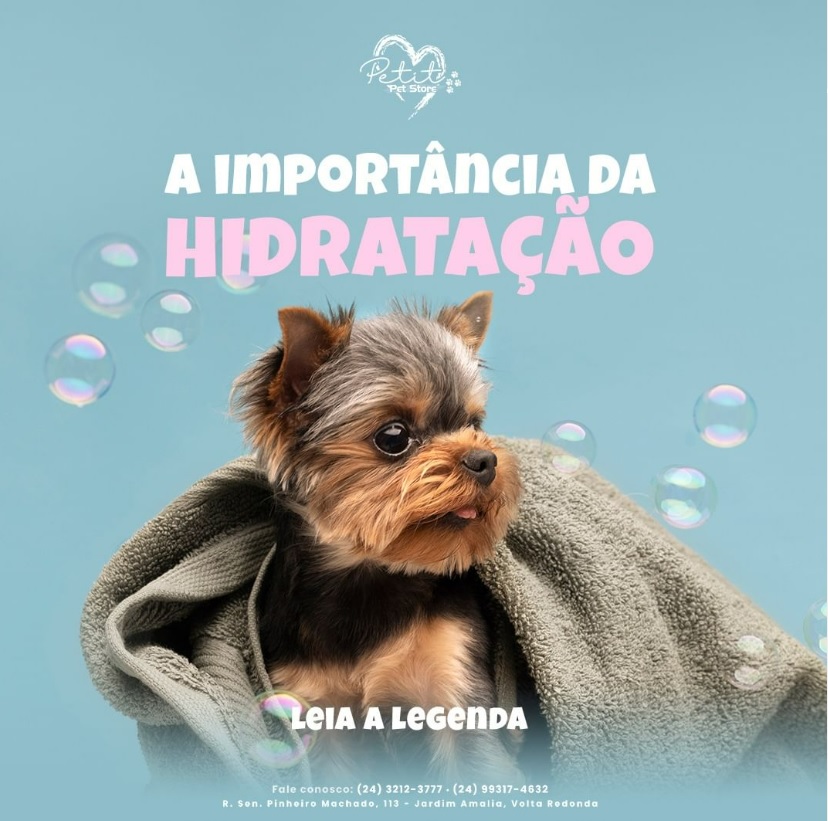 BANHO E TOSA EM BARRA MANSA RJ 