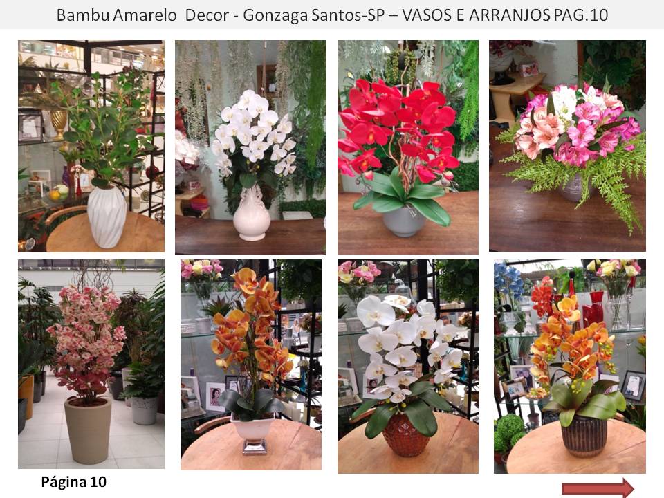 Floricultura no Gonzaga  Flores Plantas Naturais e Permanentes Vendas online e presencial 