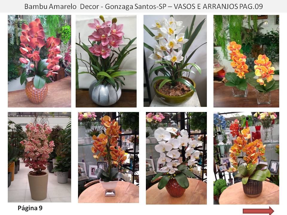 Floricultura no Gonzaga  Flores Plantas Naturais e Permanentes Vendas online e presencial 