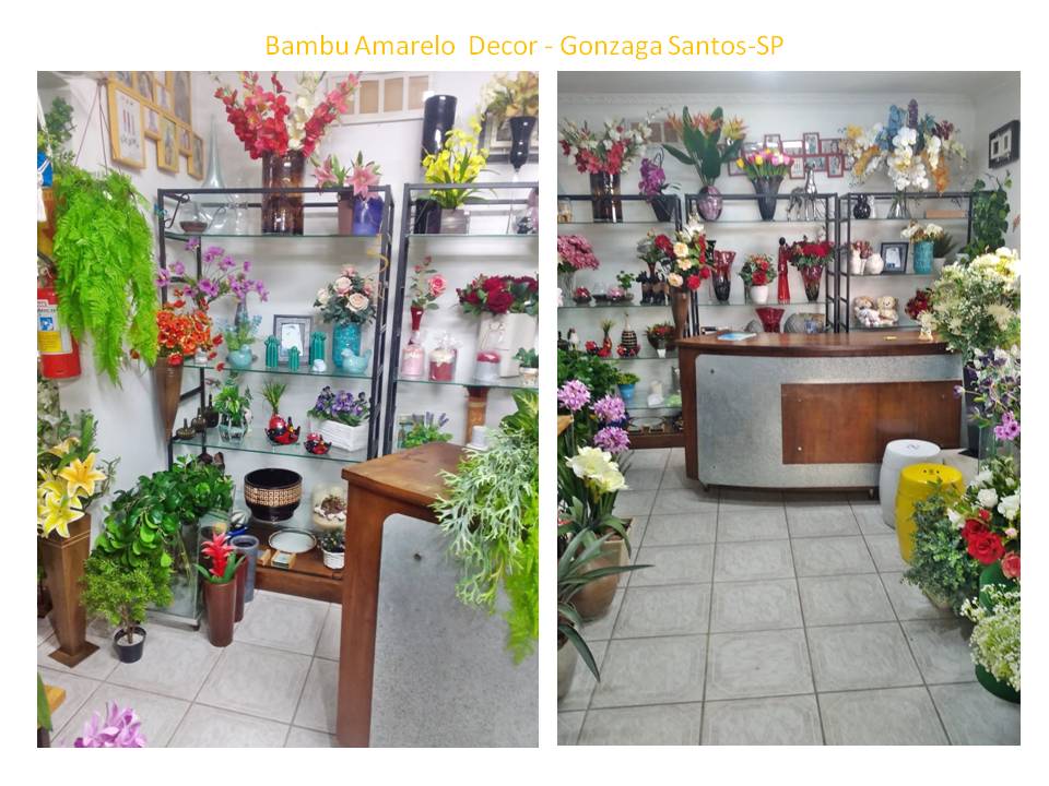 Floricultura no Gonzaga  Flores Plantas Naturais e Permanentes Vendas online e presencial 