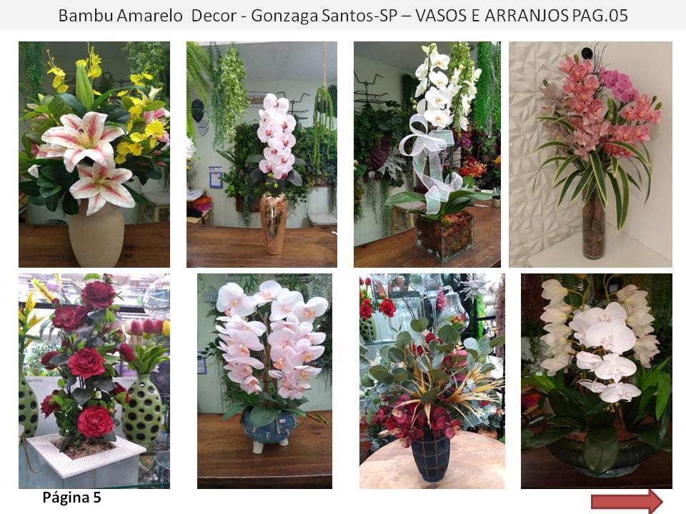 Floricultura no Gonzaga  Flores Plantas Naturais e Permanentes Vendas online e presencial 