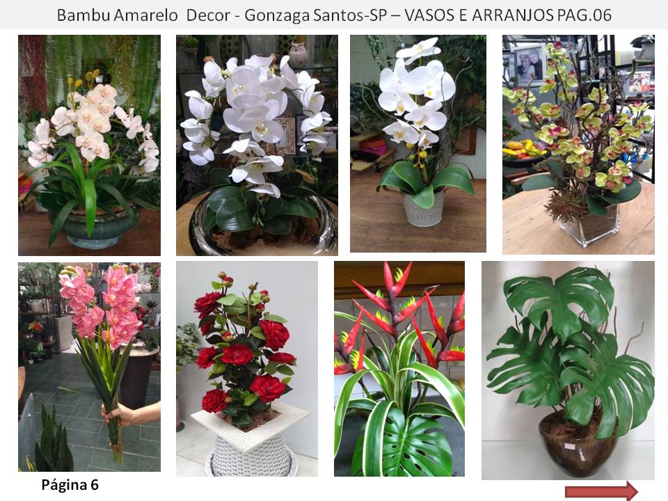 Floricultura no Gonzaga  Flores Plantas Naturais e Permanentes Vendas online e presencial 