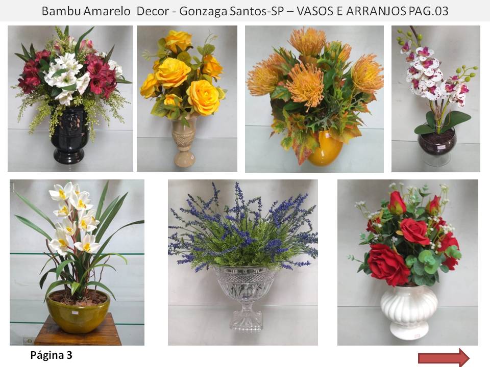 Floricultura no Gonzaga  Flores Plantas Naturais e Permanentes Vendas online e presencial 