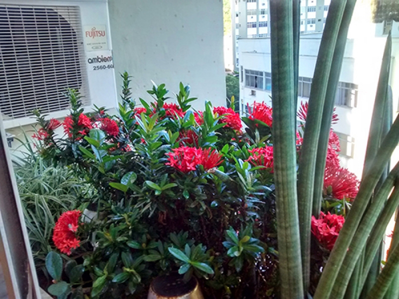 MANUTENÇÃO DE JARDINS EM ANGRA DOS REIS - RJ